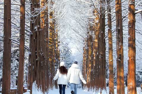 WINTER DAEBAK KOREA TOUR PACKAGE