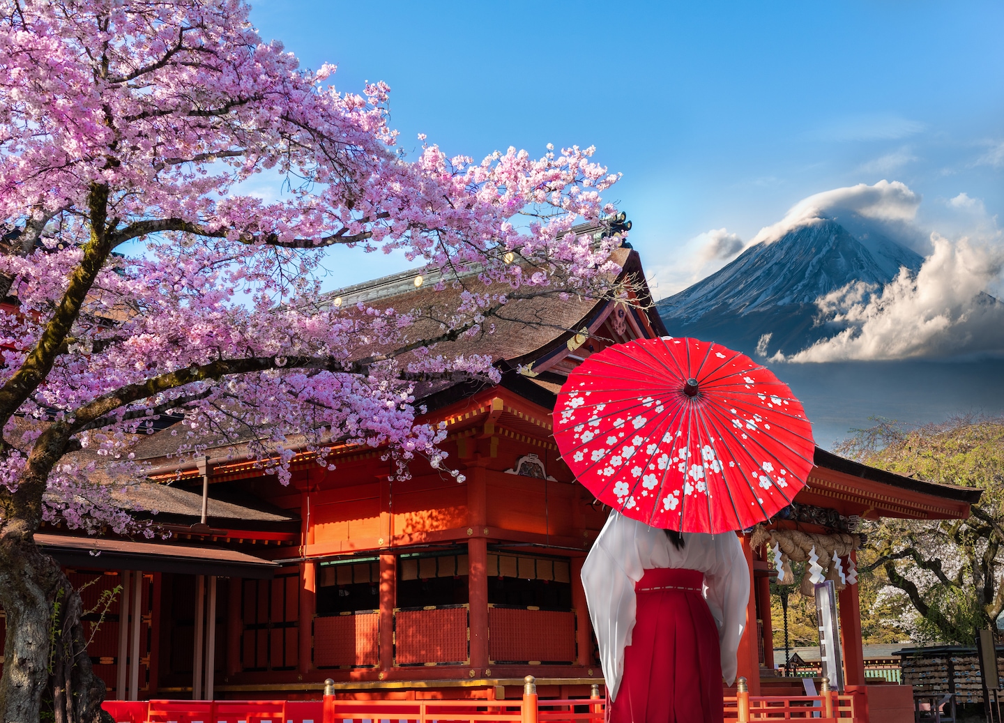 Tokyo - Mt.Fuji - Kamakura