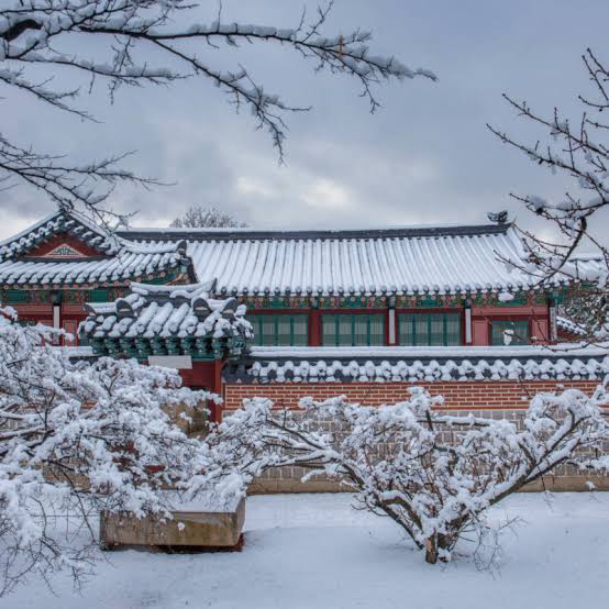 WINTER DAEBAK KOREA TOUR PACKAGE gallery 5