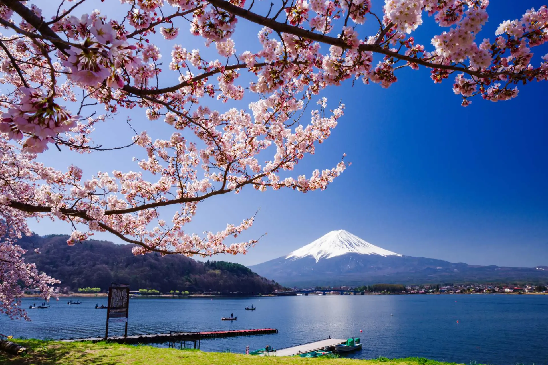 Tokyo - Mt.Fuji - Kamakura gallery 2