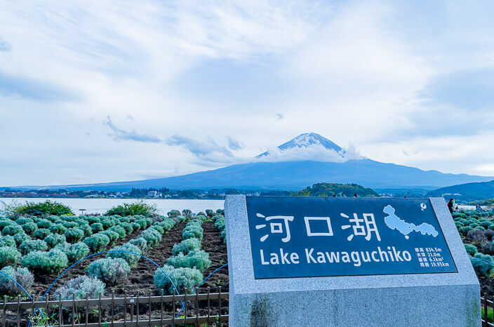 Tokyo - Mt.Fuji - Kamakura gallery 3