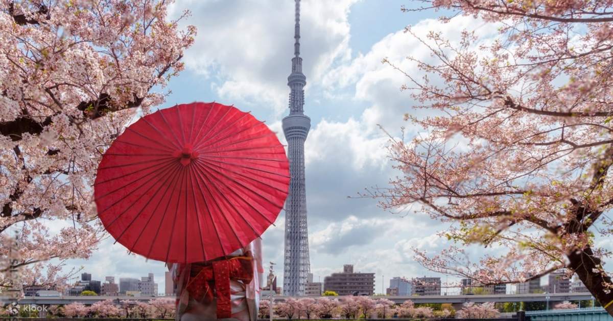Tokyo - Mt.Fuji - Kamakura gallery 5