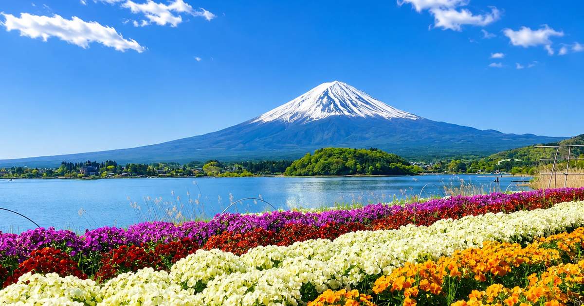 Tokyo - Mt. Fuji Bus